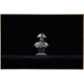 Buste Napoléon en tenue de Chasseur à Cheval de la Garde (façon bronze)