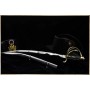 Light Cavalry Sabre An IX (1801)