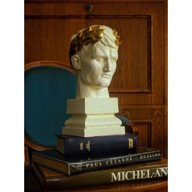 Napoleon Bust crowned