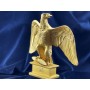 Imperial Eagle (real size)